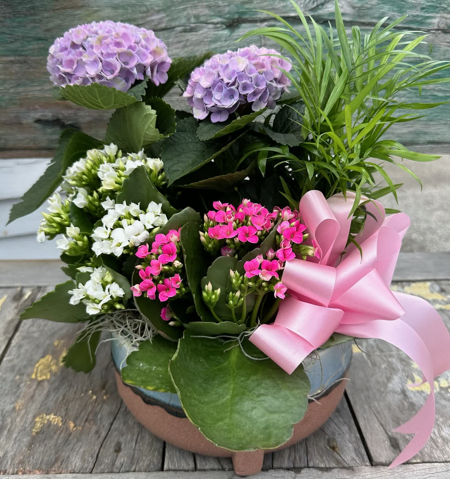 Blooming Love Dish Garden - Beautiful assortment of blooming plants arranged in a ceramic container for Mom