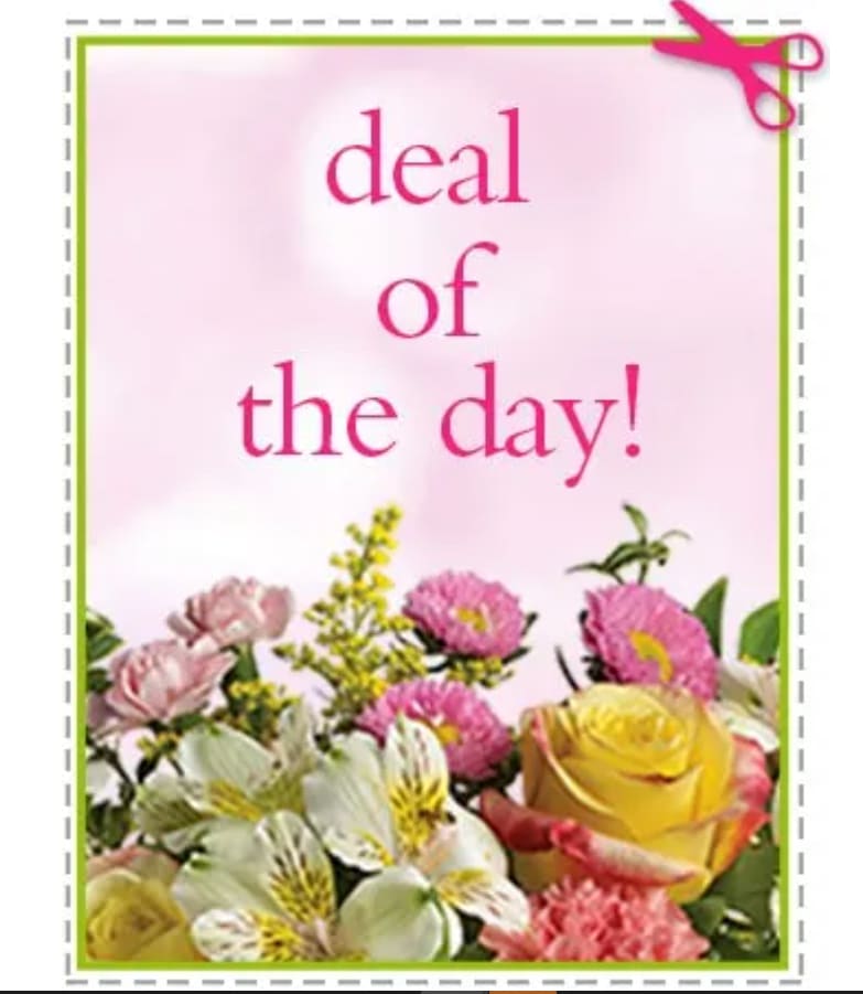 Deal of the Day Deal of the Day - Deal of the Day!