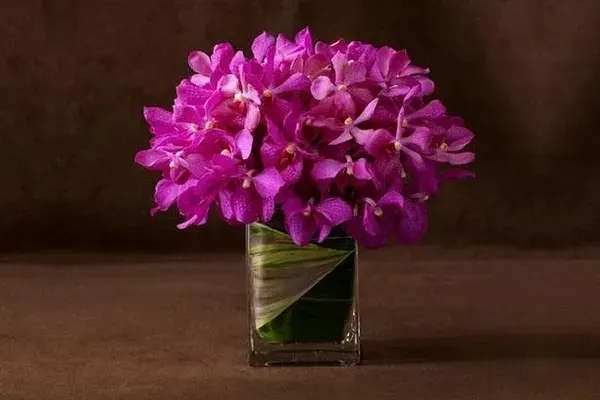 Pink Elegant Orchid Bouquet - The Pink Elegant orchid bouquet is made with class and care to give a beautiful shape and color contrast. It is made with mo kara orchids on a square crystal vase covered with variegated TI leaf.