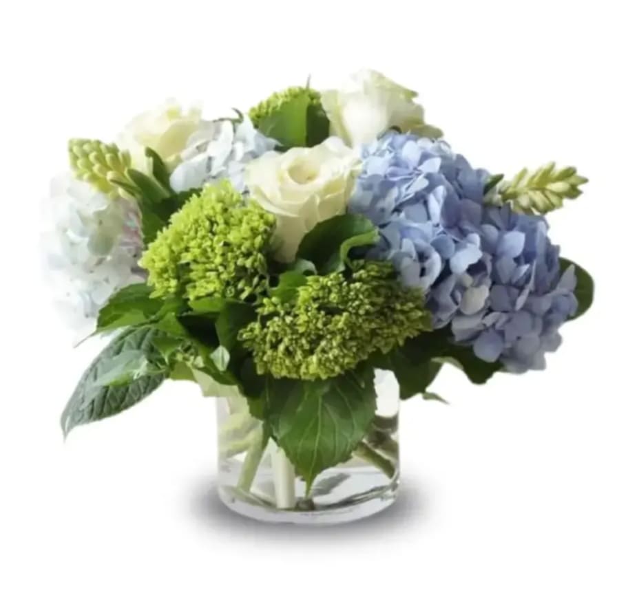 Sky Garden - Sky Garden is a refreshing arrangement of neutral premium roses, lush greens, beautiful sky blue and cream hydrangeas. These blooms are a creation suitable for any special day that would bring light and joy to your recipient.  