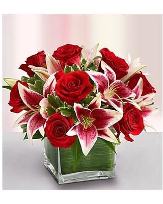Modern Embrace Red & Pink Modern Embrace Red & Pink - Modern Embrace™ Pink Rose & Lily Cube Product Code: 91116 Modern Embrace Red & Pink™ Red Rose & White Lily's Modern Embrace™ Red Rose & Lily Cube Contemporary elegance meets classic style with this stunning bouquet. Gorgeous fresh red roses share the stage with showy pink lilies, hand-designed and arranged by our select florists in a compact style. Then, this dynamic duo is gathered in a chic cube vase lined with exotic Ti leaf ribbon.