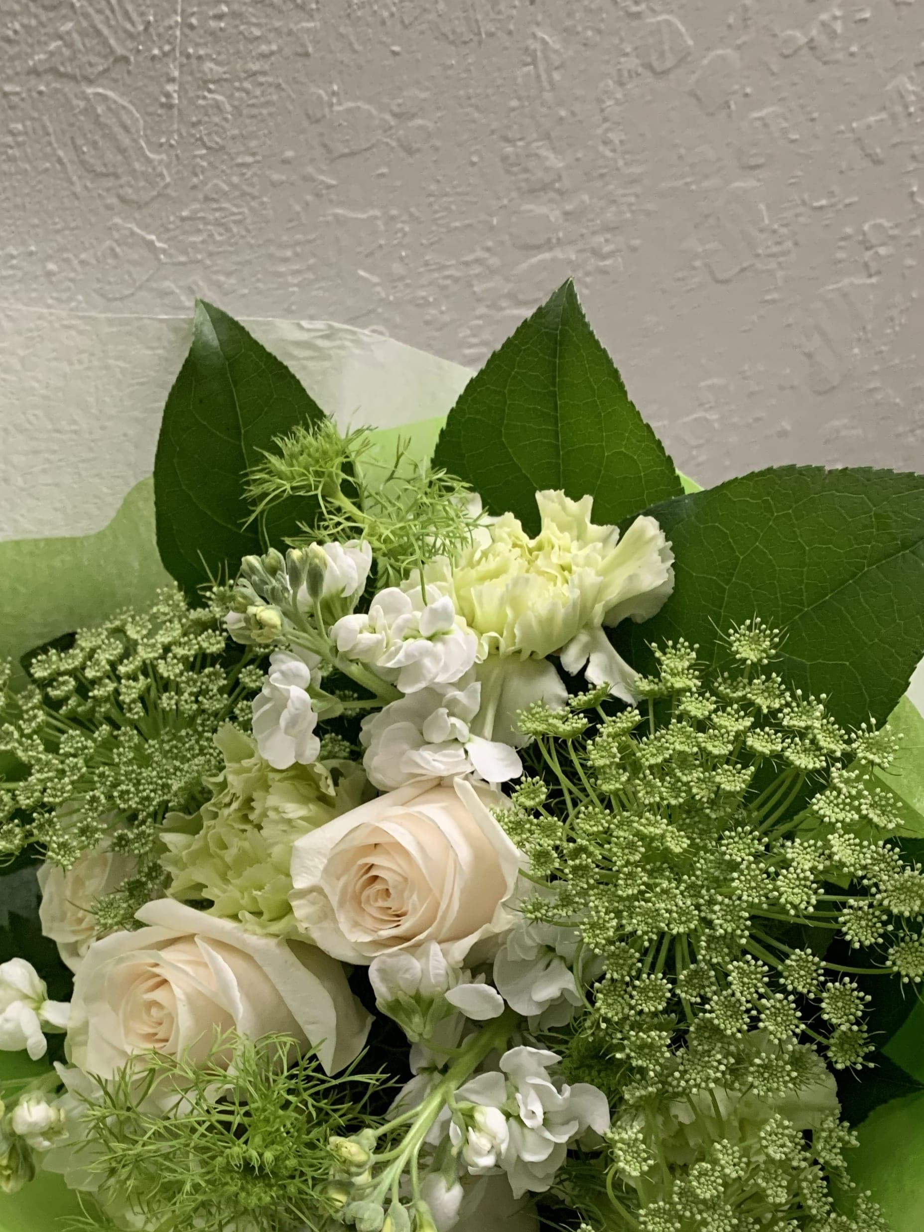 Deal Of The Day - Green and White Colors - With our Deal of the Day bouquets, you pick your price and our expert florists exercise their creativity to design a beautiful bouquet using the freshest seasonal flowers available. Please note that flowers and designs will vary as our artisan florists work with the freshest, in-season flowers and their own personal inspiration - but you can be sure your bouquet will delight!