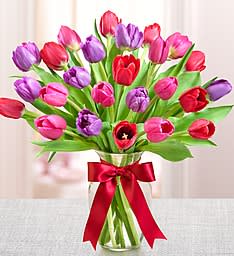 Tulips for my Valentine! Tulips for my Valentine! - Tulips for Your Valentine™ Product Code: 161221 Tulips for Your Valentine™ This Valentine’s, let our tulips do the talking! Our fresh, colorful arrangement combines romantic red, passionate purple and sweet pink blooms to help you express your feelings without saying a word. Beautifully hand-designed in a clear glass vase wrapped in a red bow, it's a gift that guarantees she'll get the message.