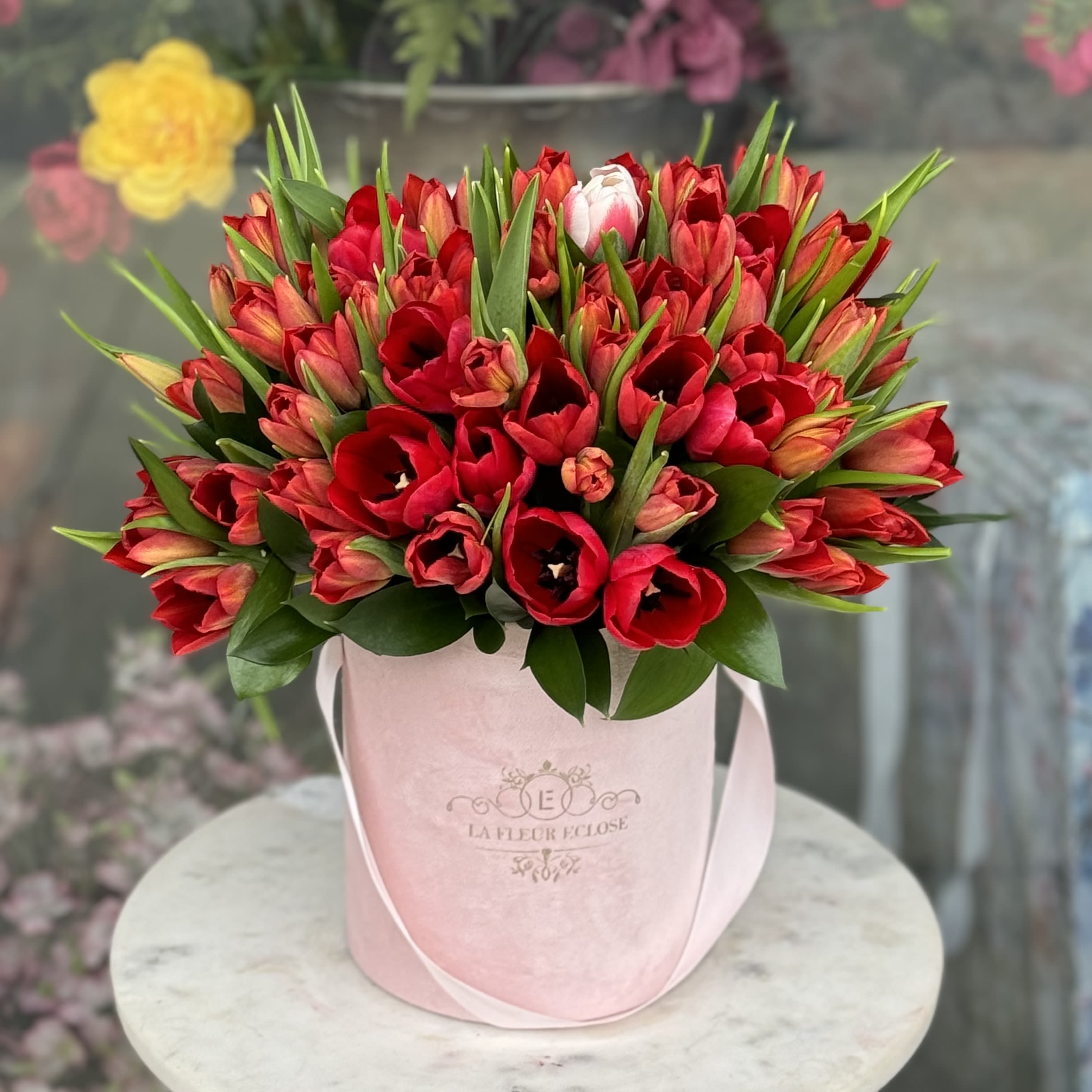 Mini Box with red  Tulips  - 50 Tulips