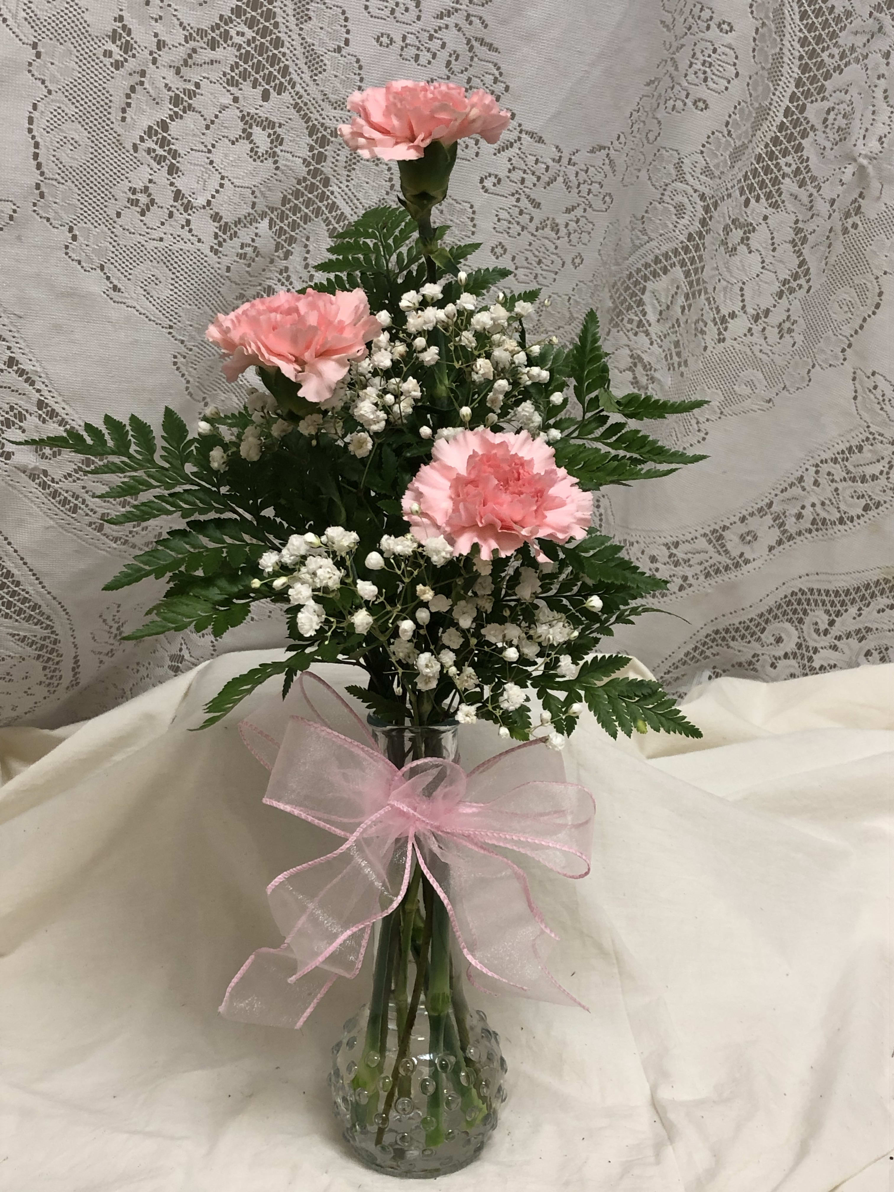 Triple Carnation Budvase Triple Carnation Budvase - Three canations in a budvase with filler, greens and a bow.