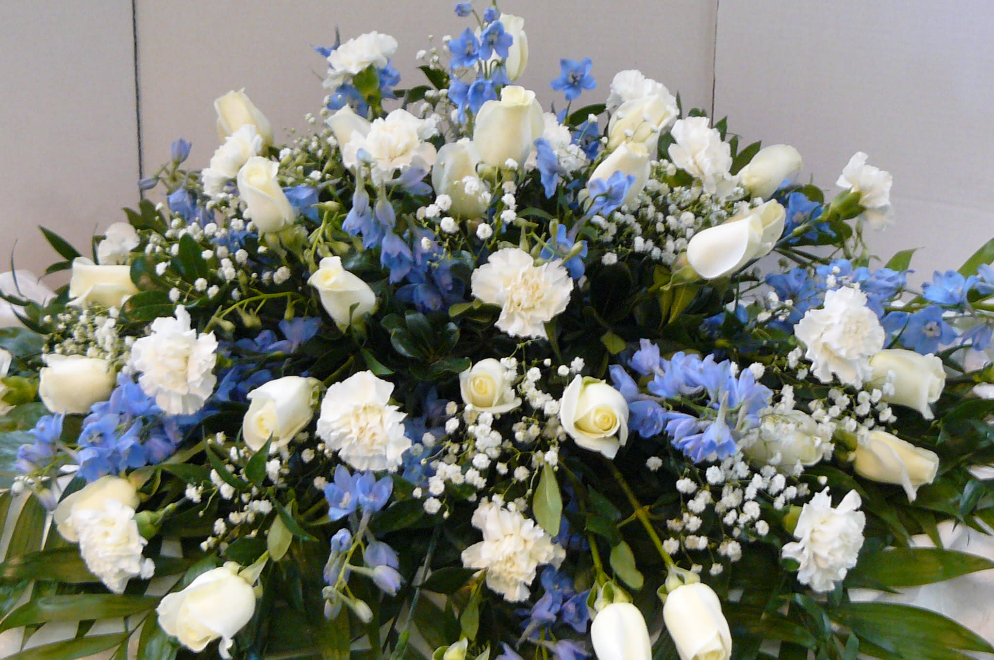 Blue  Moon  Casket Spray - White Roses, Blue Delphinium,   Carnations,  Babies Breath,  Fancy Greens are elegantly arranged among an assortment of lush greens to create a sophisticated display meant to bedeck the top of their casket at the final memorial service. Your purchase includes a complimentary personalized gift message. Variations of  flowers or colors  are possible.