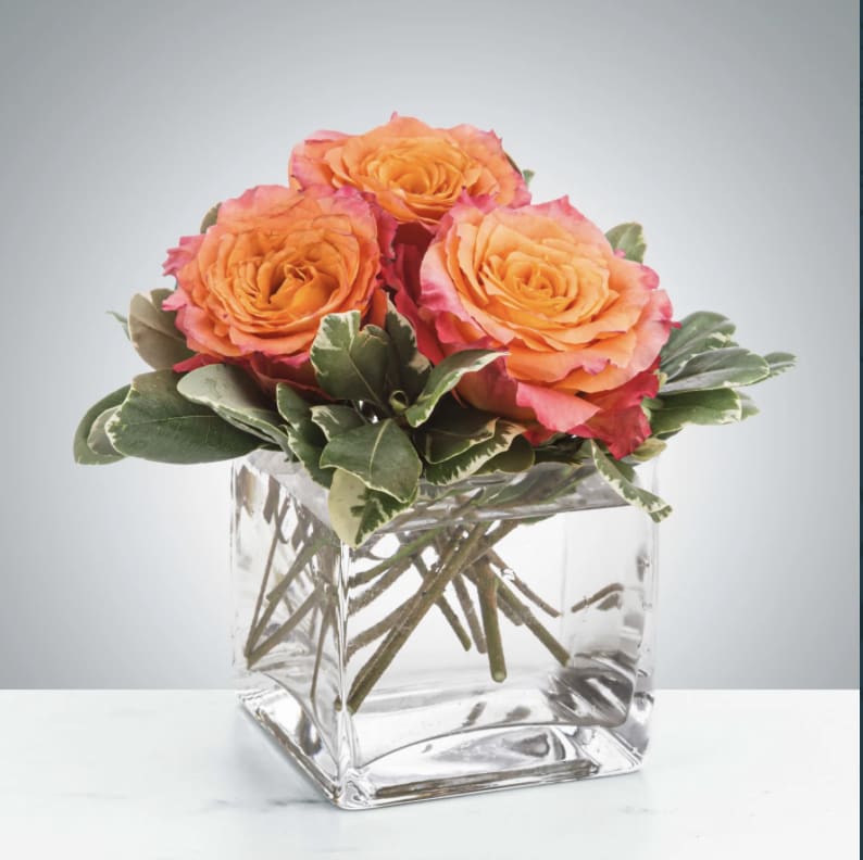 Petite Sunset by BloomNation™ Petite Sunset by BloomNation™ - A petite 3 rose gift is a perfect little "thinking of you" arrangement. Spirit roses are so beautiful on their own, they don't need much else to leave an impact. *Roses' colors are subject to change based on availability. Approximate Dimensions: 5"D x 5"H