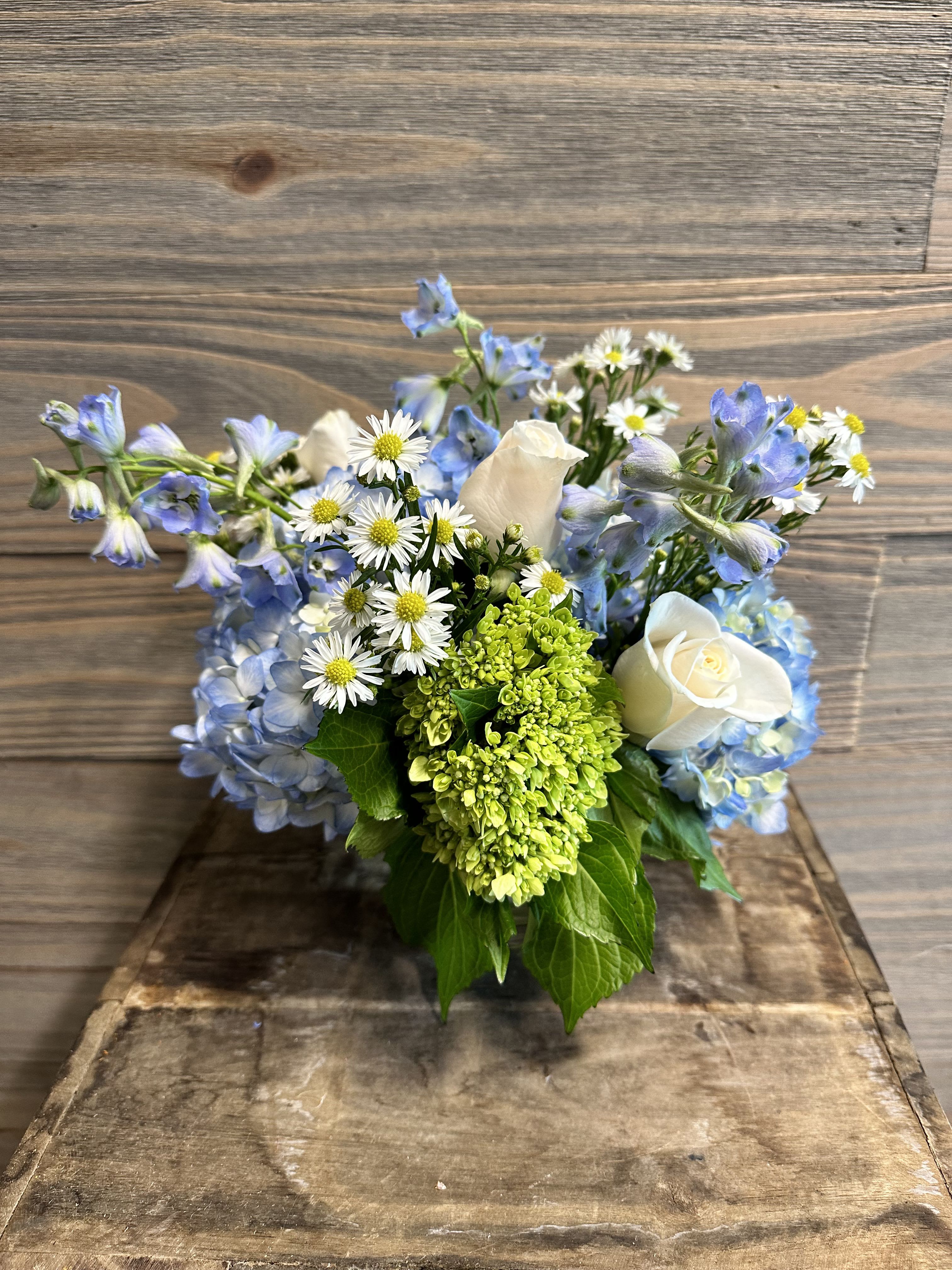 Bluebell - A collection for seasonal blooms in blues and whites.