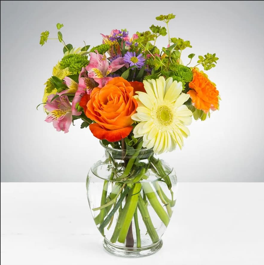 Carnival by BloomNation™ Carnival by BloomNation™ - This bouquet is festive and perfect for any celebratory occasion. The arrangement includes roses, carnations, matsumoto aster, and alstroemeria. It is the perfect gift to celebrate birthdays and new beginnings. APPROXIMATE DIMENSIONS: 12" D x 13" H