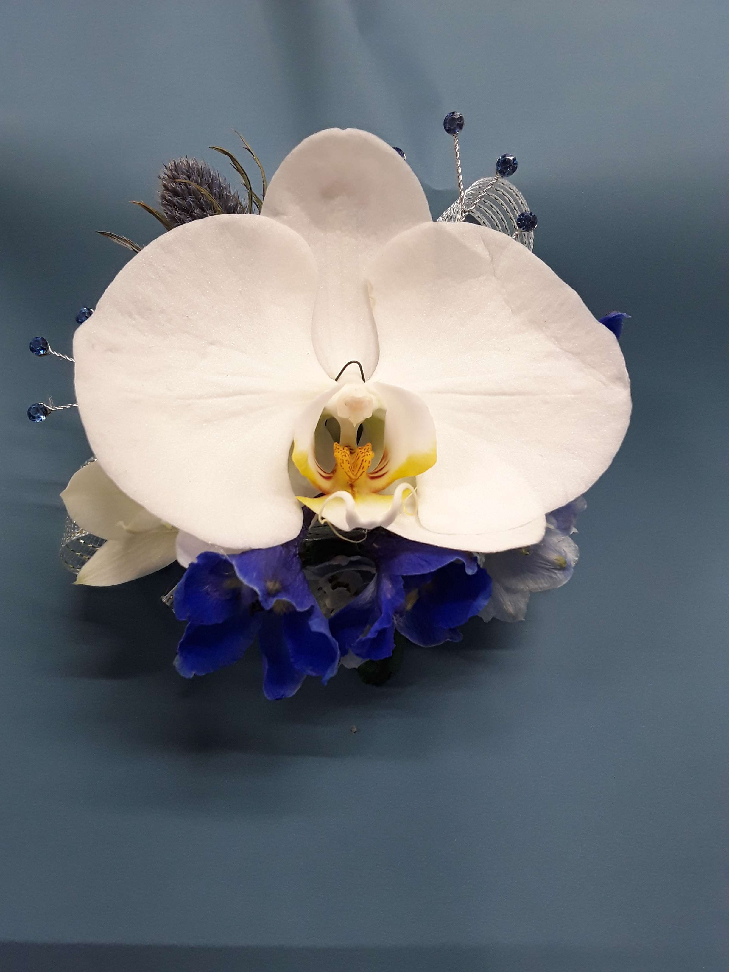 phalaenopsis wristlet phalaenopsis wristlet - phalaenopsis orchid