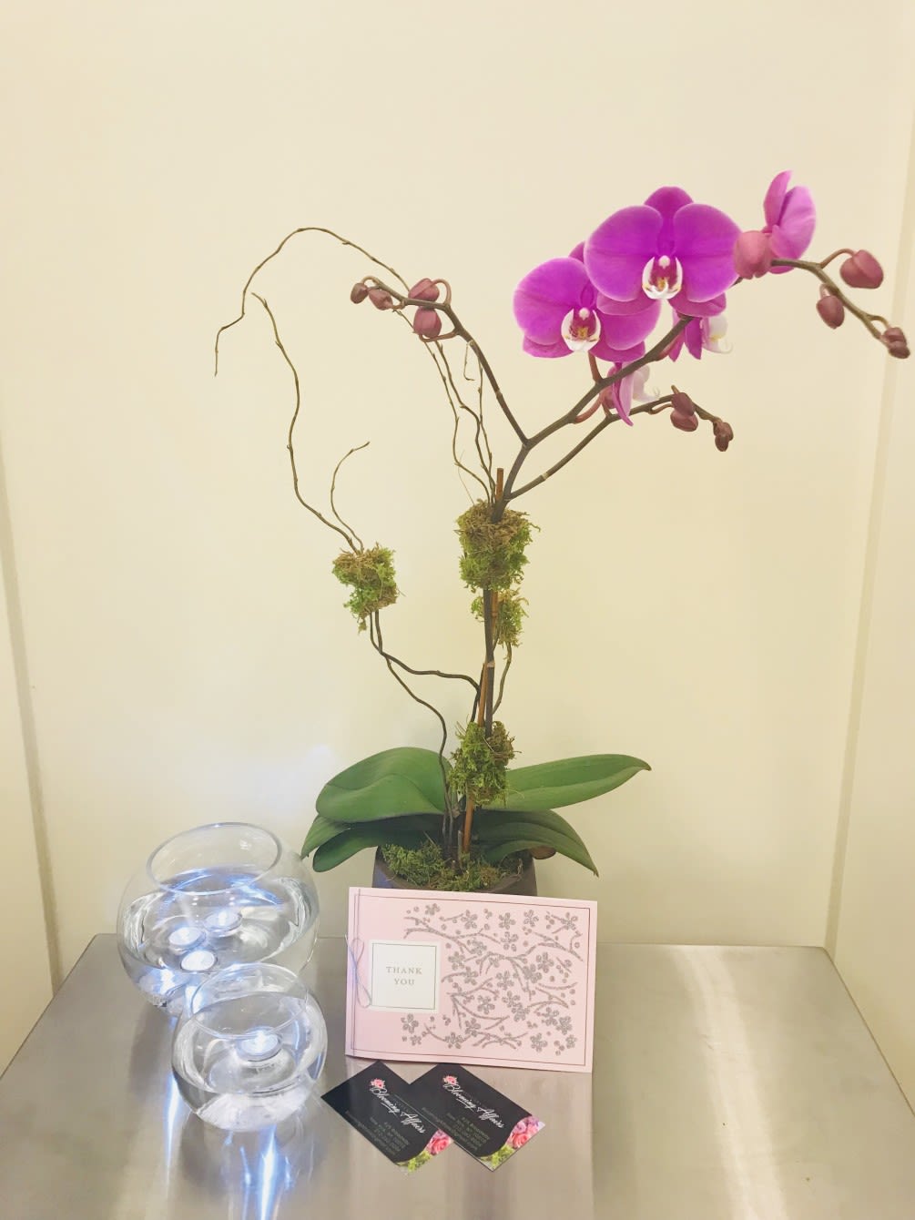 Bloom4013 Bloom4013 - Orchid Plant