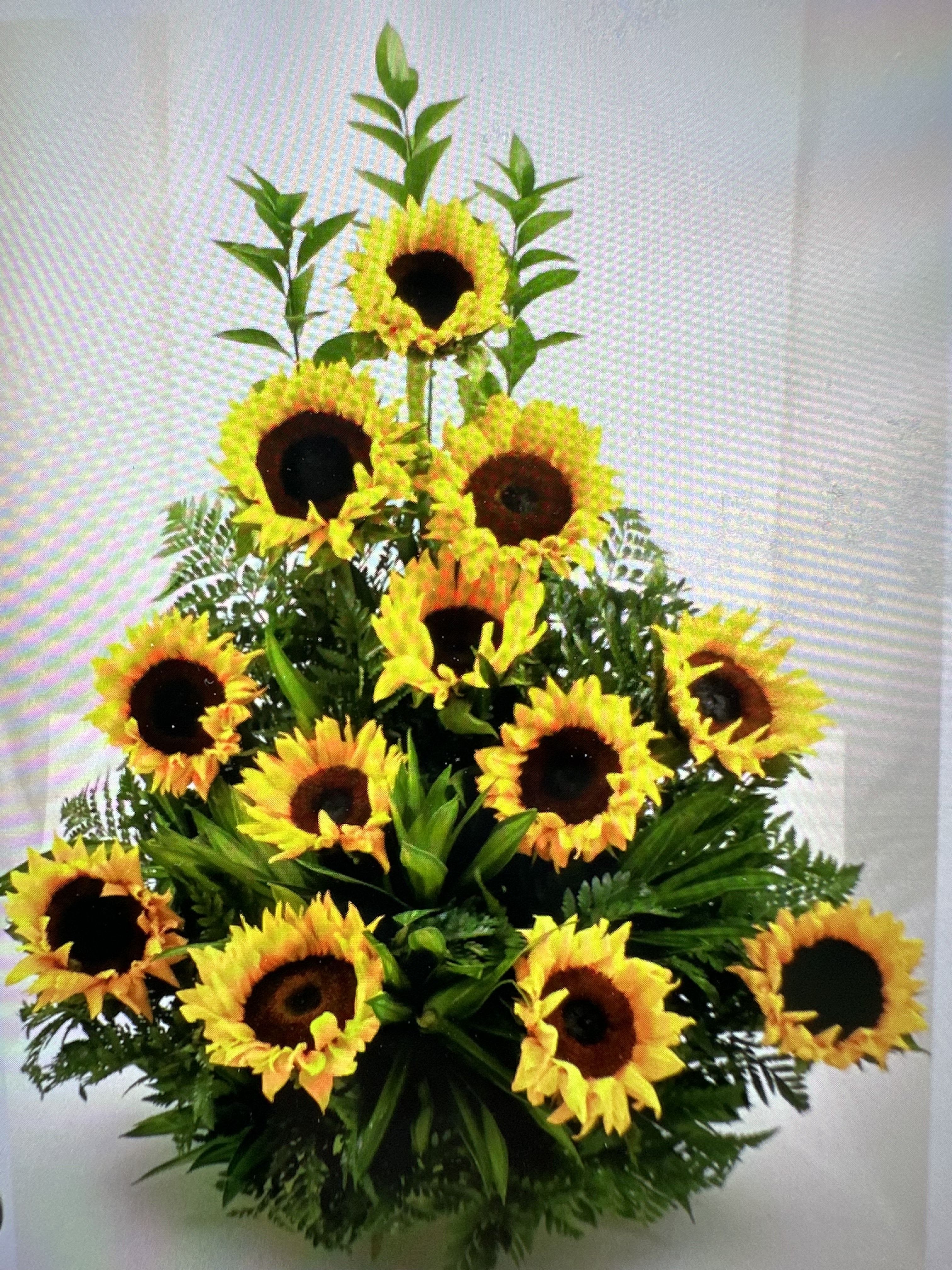 ONE FACE SUNFLOWERS ONE FACE SUNFLOWERS - ONE FACE ARRANGEMENT WITH ONLY SUNFLOWERS