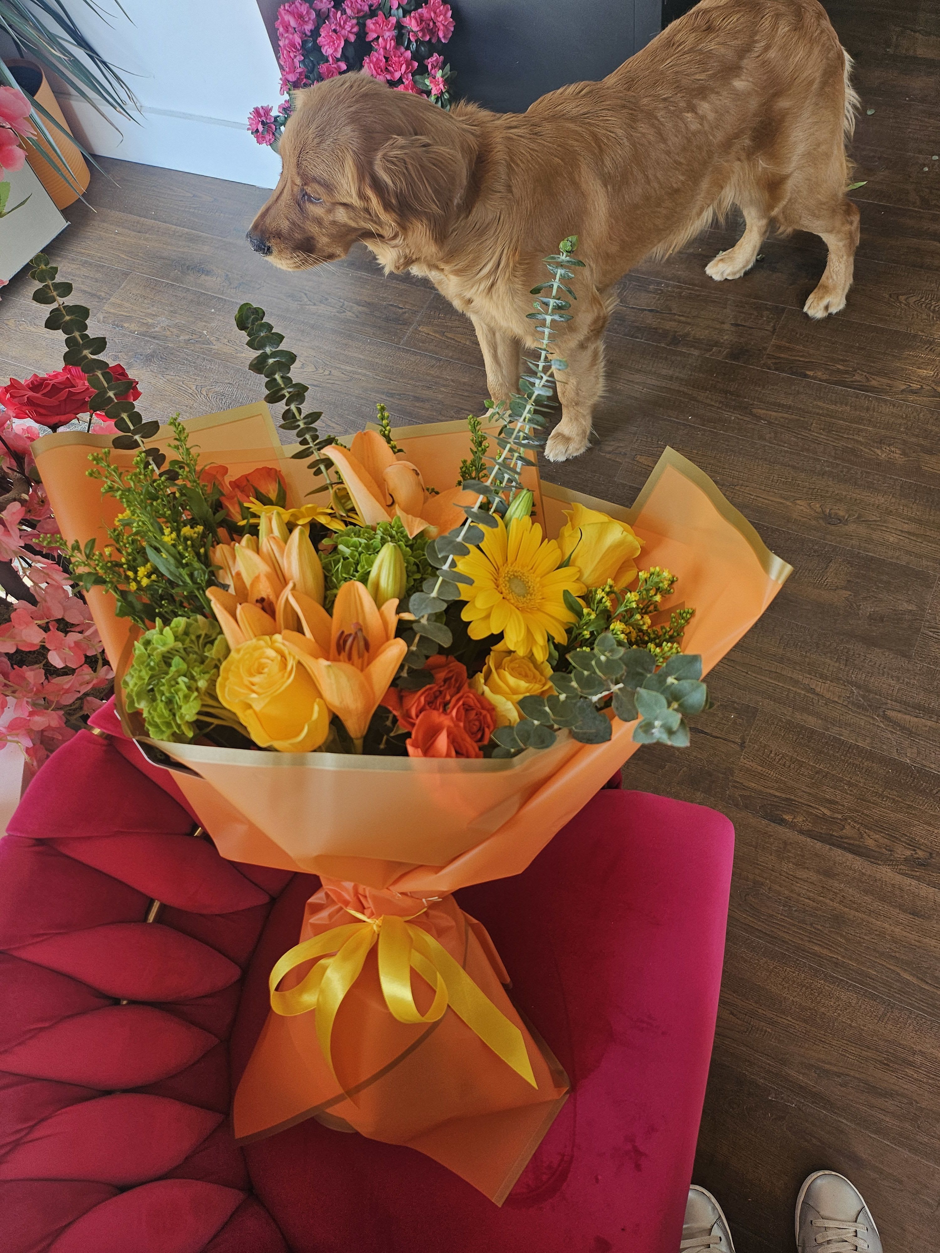 Happy May - Colorful  Luxury Blooms