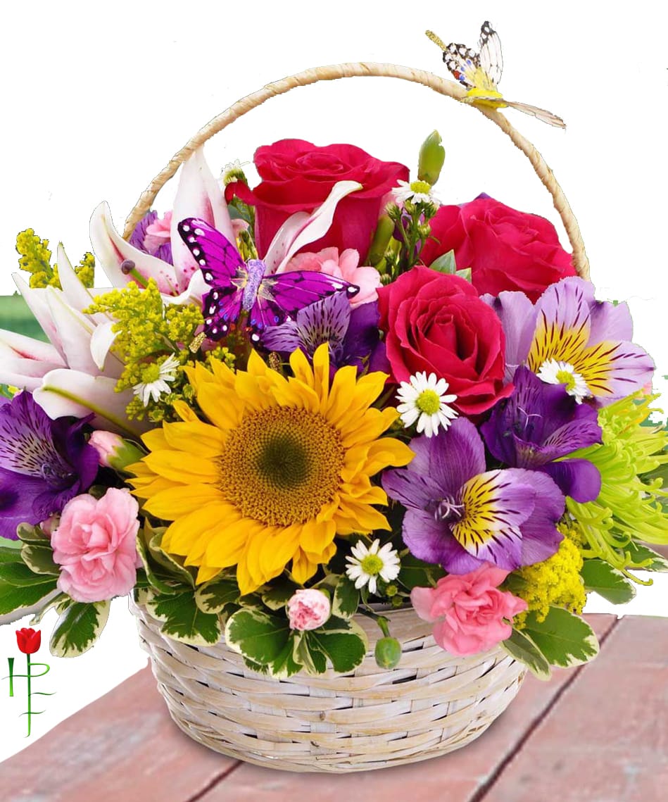 Summer Basket Summer Basket - Seasonal bright flowers arranged into a basket with a butterfly.