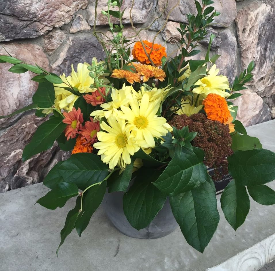 Yellow Daisy Yellow Daisy - Small arrangement with yellow