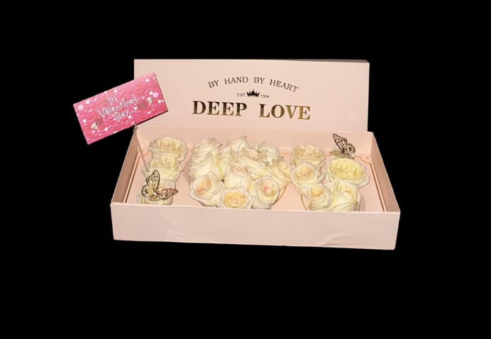 Deep Love” Eternal Rose Box – Valentine’s Edition - “Deep Love” Eternal Rose Box   Celebrate timeless romance with our “Deep Love” Rose Box, a luxurious arrangement crafted by hand, by heart. Nestled in a soft blush pink box, these elegant ivory roses bloom with understated beauty, accented by delicate golden butterflies.  Whether you’re expressing devotion, rekindling a flame, or simply surprising someone special, this box speaks the language of love with every petal.  Details:  13–15 premium roses  Embellished with gold-trimmed butterfly accents  Includes a greeting card  Perfect for gifting, proposals, anniversaries, or just because   Say it with roses. Say it with Deep Love.  