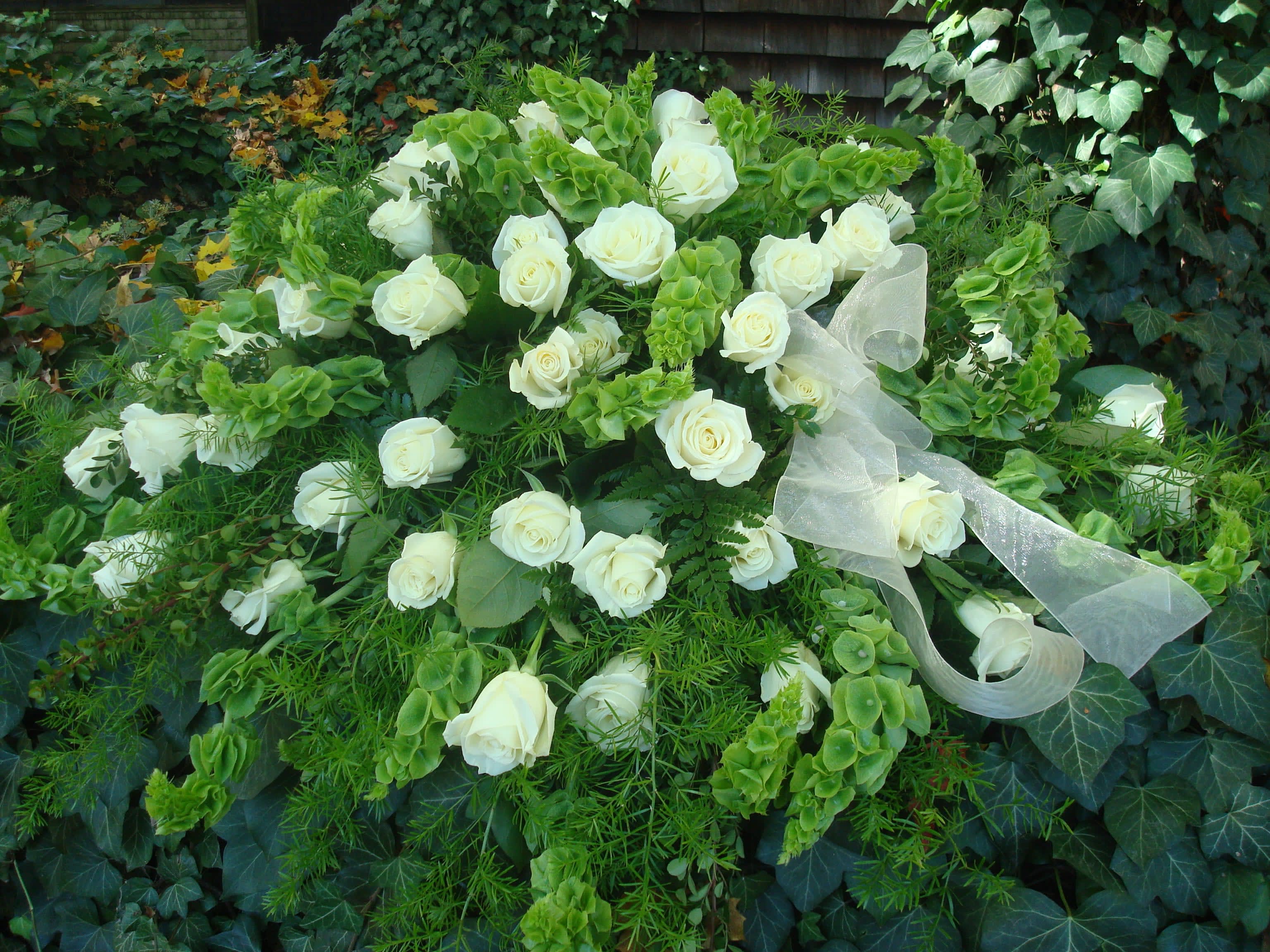 Classic White Roses Classic White Roses - Classic casket spray flooded with white roses accented with lush greens.