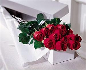 Boxed Roses - The classic gift to say I Love You! One dozen beautiful long stem roses. Perfect combination of beauty and vase life. Cut these babies with a knife, not a scissor, and get maximum enjoyment.  Specify desired rose color in special instructions, or we will default to red.   DELIVERY TO OUT OF TOWN destinations must meet higher minimum prices. Call for info. Lots more colors to choose from. 
