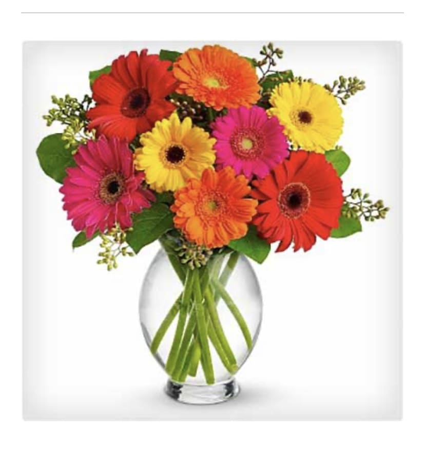 Gerbers! - This vibrant vase bursting with colorful gerbers is always a favorite! Gerber color will vary based upon availability, but all will be lovely. 