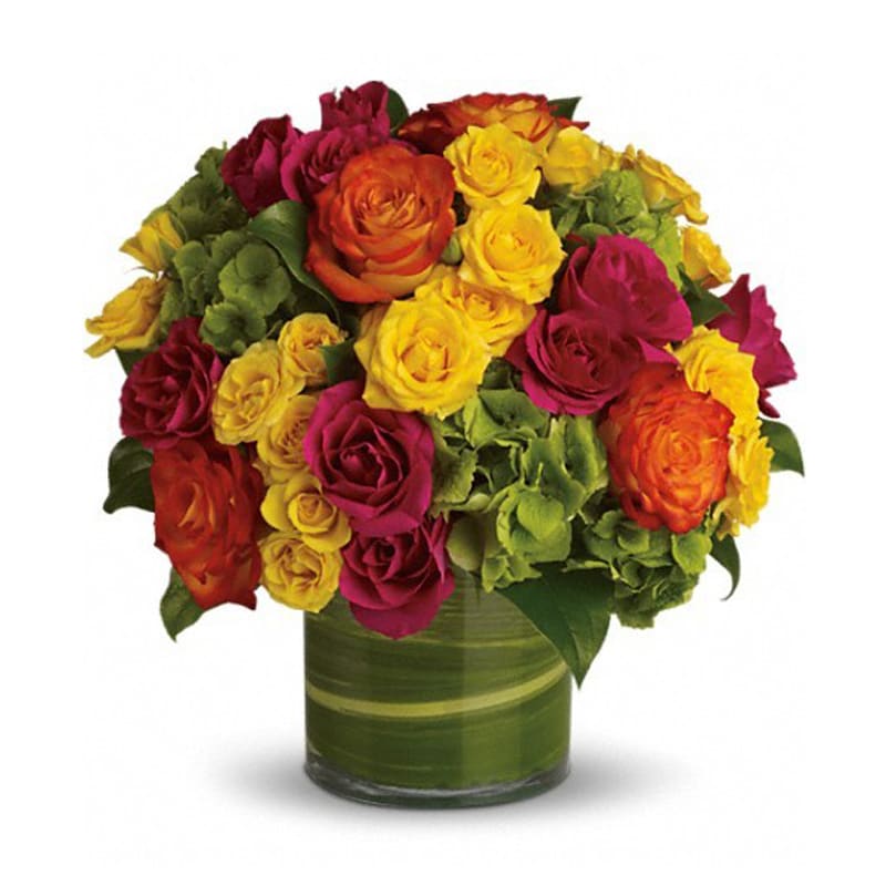  Blossoms in Vogue  - Blow someone away with a bouquet that has so much style… all it needs is its own runway.  Brilliant green hydrangea, hot pink and bi-color roses, hot pink and yellow spray roses and greens are hand-delivered in stunning style: a wide cylinder vase that's been elegantly lined with leaves. This bouquet is a singular sensation!  Approximately 13&quot; W x 12&quot; H  STANDARD  •	3 Green Hydrangea         3 White Hydrangea •	8 STANDARD Yellow Roses •	7 STANDARD Orange Roses •	4 Hot Pink Spray Roses  DELUXE •	3 Green Hydrangea         3 White Hydrangea •	9 STANDARD Yellow Roses •	8 STANDARD Orange Roses •	4 Hot Pink Spray Roses  PREMIUM  •	3 Green Hydrangea         3 White Hydrangea •	10 STANDARD Yellow Roses •	9 STANDARD Orange Roses •	4 Hot Pink Spray Roses 