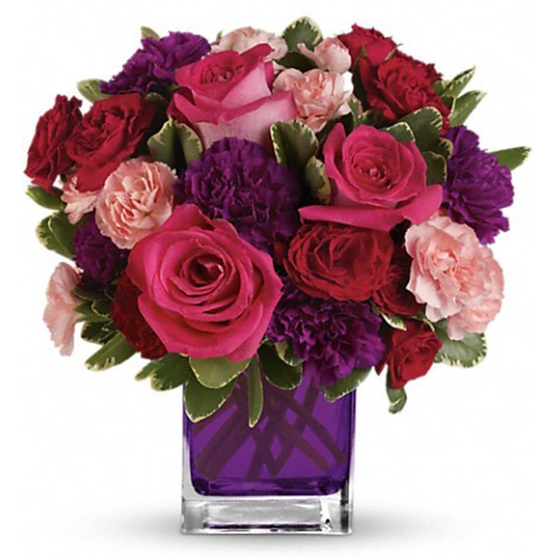  Bejeweled Beauty by Teleflora  - Pure romance. Hot pink roses and dark red spray roses are brightly arranged inside our violet cube.  Hot pink roses, dark red spray roses, purple carnations and pink miniature carnations are accented with assorted greens. Delivered in Teleflora's glass violet cube.  STANDARD  • 4 STANDARD HOT PINK ROSES • 4 PURPLE Carnations  • 2 RED SPRAY ROSES • 2 PINK MINI CARNATIONS  DELUXE  • 6 STANDARD HOT PINK ROSES • 4 PURPLE Carnations  • 2 RED SPRAY ROSES • 2 PINK MINI CARNATIONS  PREMIUM  • 8 STANDARD HOT PINK ROSES • 4 PURPLE Carnations  • 2 RED SPRAY ROSES • 2 PINK MINI CARNATIONS 