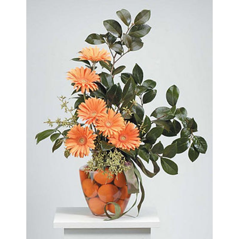 Fruit And Gerbera Fruit And Gerbera - Oranges in the vase with orange gerbera daisies and lemon leaves