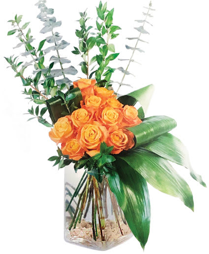 Modern Roses by Flower Shop Network Modern Roses by Flower Shop Network - Modern spin on a Rose bouquet