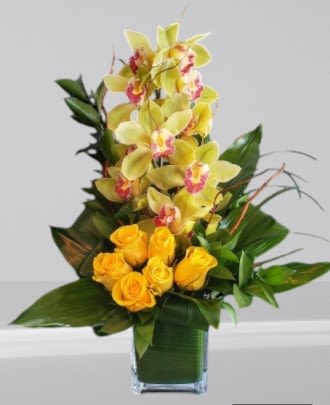 Cymbidium Orchid with a Half Dozen Roses FS14 - Modern &amp; Sophisticated, perfect for any occasion.