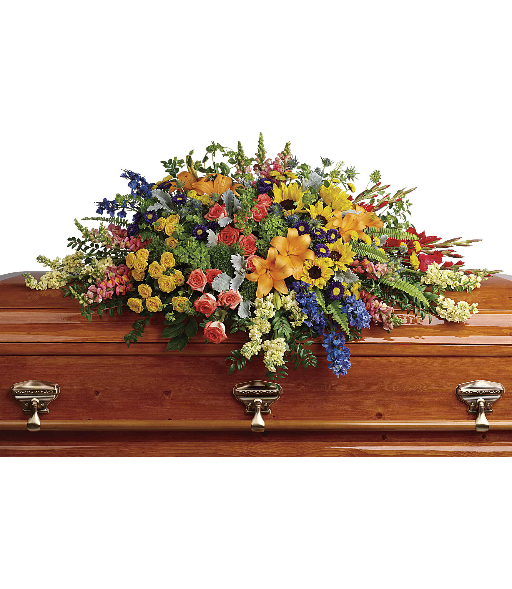 Colorful Reflections Casket Spray - Full of light and love, this colorful casket spray celebrates a bright life with the natural beauty of hydrangea, roses, lilies and sunflowers. Green hydrangea, orange roses, yellow spray roses, orange asiatic lilies, red gladioli, large yellow sunflowers, blue delphinium, orange snapdragons, light yellow stock, purple matsumoto asters, and yellow button spray chrysanthemums are accented with green trick dianthus, blue eryngium, bupleurum, dusty miller, huckleberry, sword fern, lemon leaf. Approximately 50&quot; W x 28&quot; H