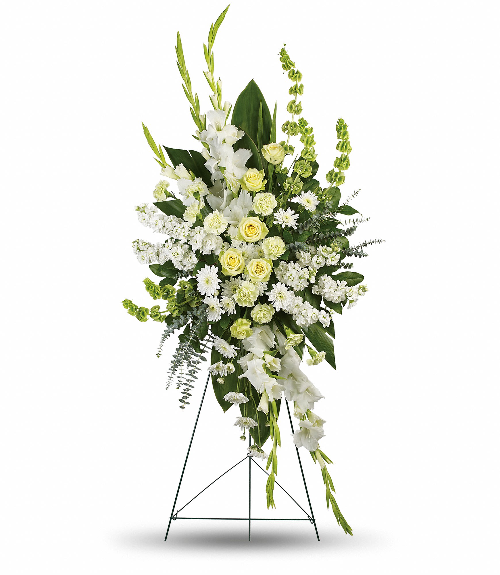 Magnificent Life Spray Magnificent Life Spray - An elegant expression of sympathy, this wondrous white and green spray conveys purity and peace. A glorious choice for a magnificent memorial. This gorgeous array of green roses, green carnations, white gladioli, white stock, white cushion spray chrysanthemums and bells of Ireland is accented with green ti leaves, spiral eucalyptus and lemon leaf.