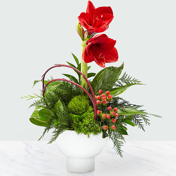 Striking Elegance Bouquet Striking Elegance Bouquet - The highlight of this eye-catching bouquet is the brilliant shades of red hues and luscious greens set in a modern and sleek white ceramic bowl. With truly unique red amaryllis, red dogwood branches, and green trick dianthus, the Striking Elegance Bouquet adds a divine touch to any room it is placed in.
