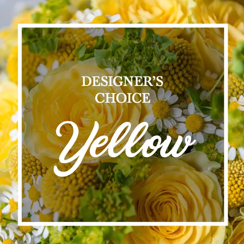 Designer's Choice - YELLOW Designer's Choice - YELLOW - Put a smile on someone's face with this bright arrangement using an assortment of yellow flowers in a clear glass vase (flowers will vary from that seen in picture)