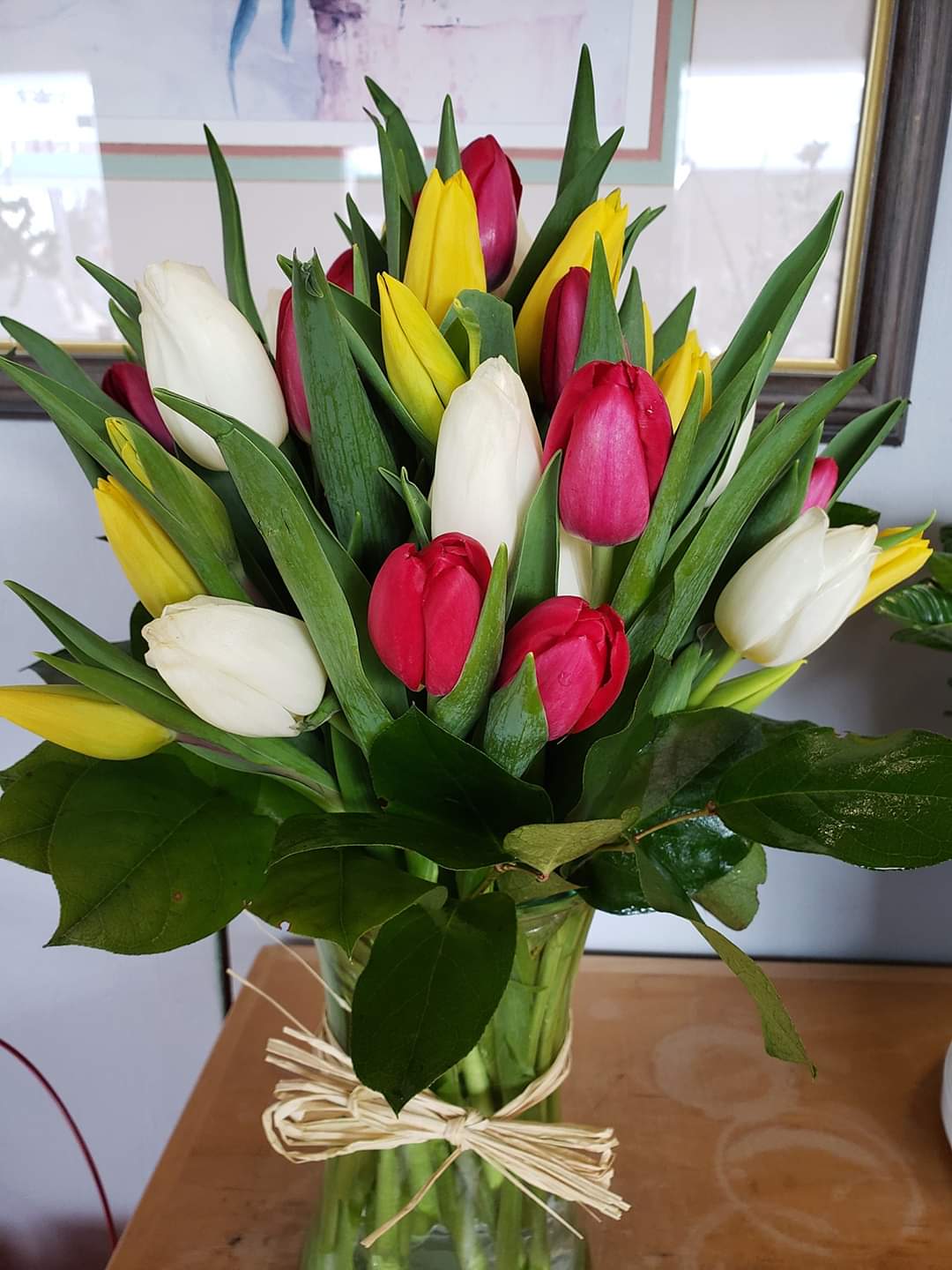tulips - tulips of different colors