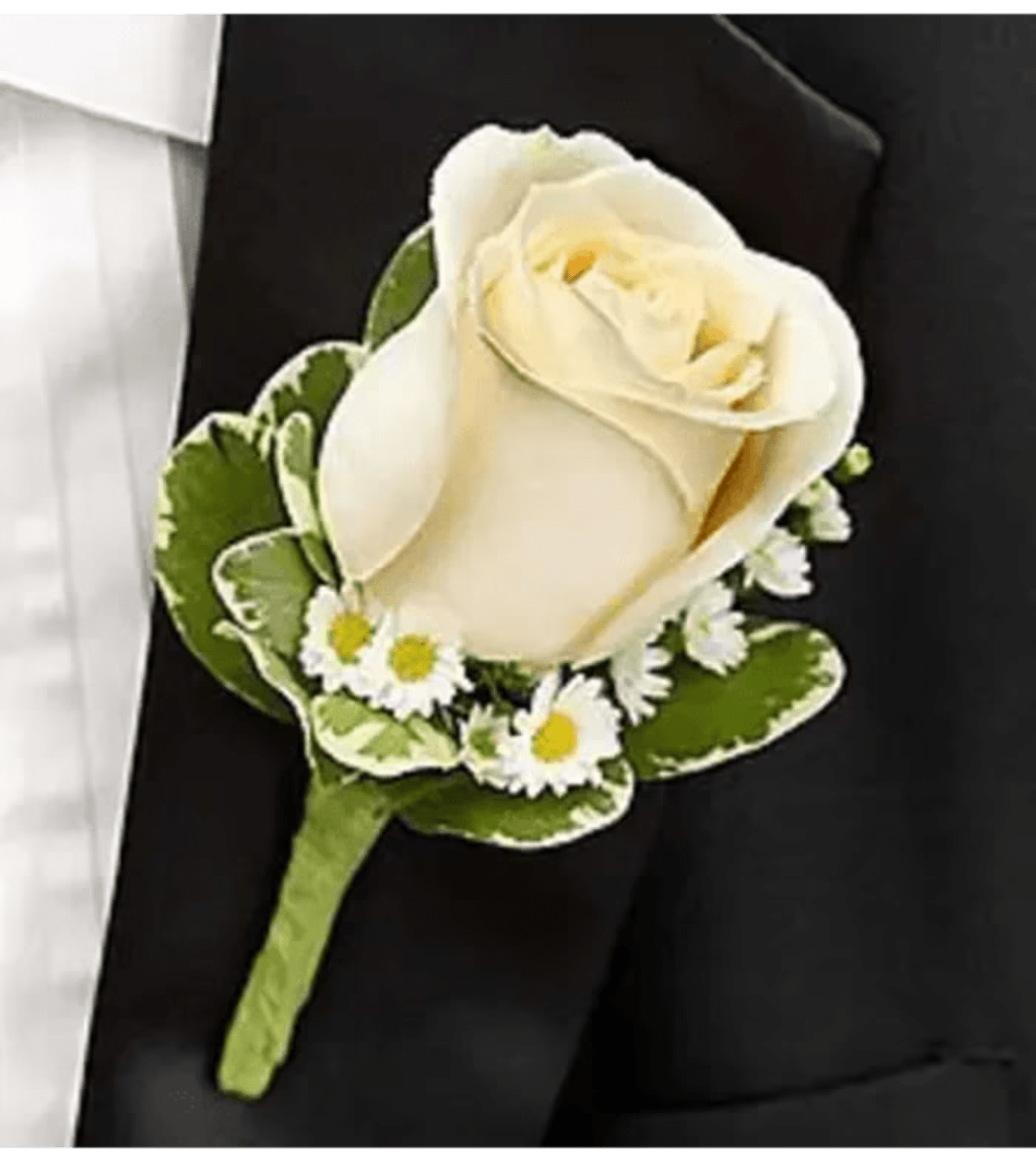 White Boutonniere PICK UP ONLY White Boutonniere PICK UP ONLY - A classic white rose, white Monte casino and variegated pittosporum are hand-crafted by our select florists to accent their tuxedos with timeless elegance. Single stem white rose boutonniere arrangement, artfully designed by our expert florists and accented with Monte casino and variegated pittosporum. Includes boutonniere pins for attaching to the lapel For any custom designs, ribbon color, or add-ons (rhinestones or pearls) please call us. Modifications and changes can be made!