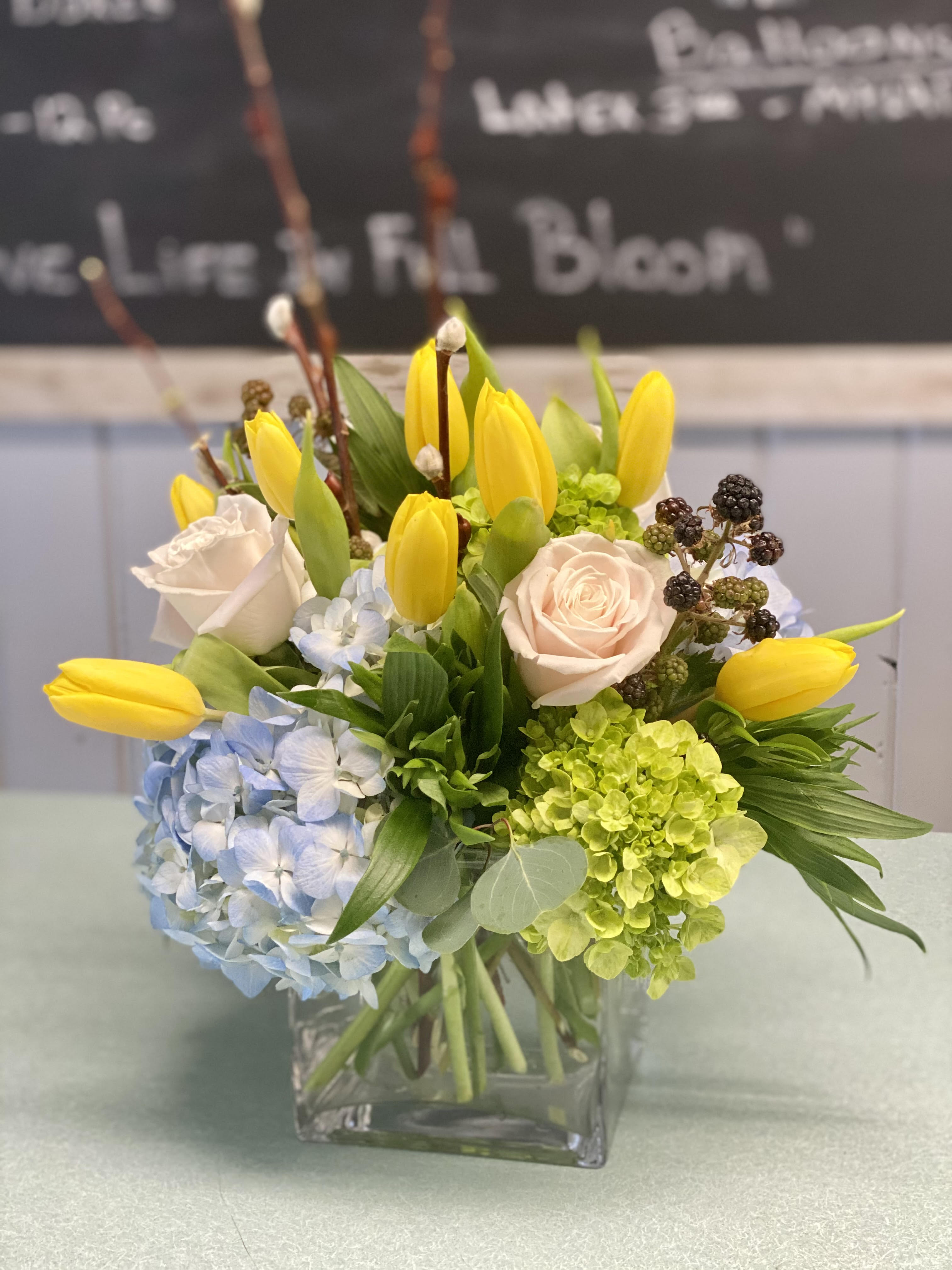 Tulips & Hydrangea Tulips & Hydrangea - Blue hydrangea, mini green hydrangea, yellow tulips, white roses, pussy willow in a clear glass cube