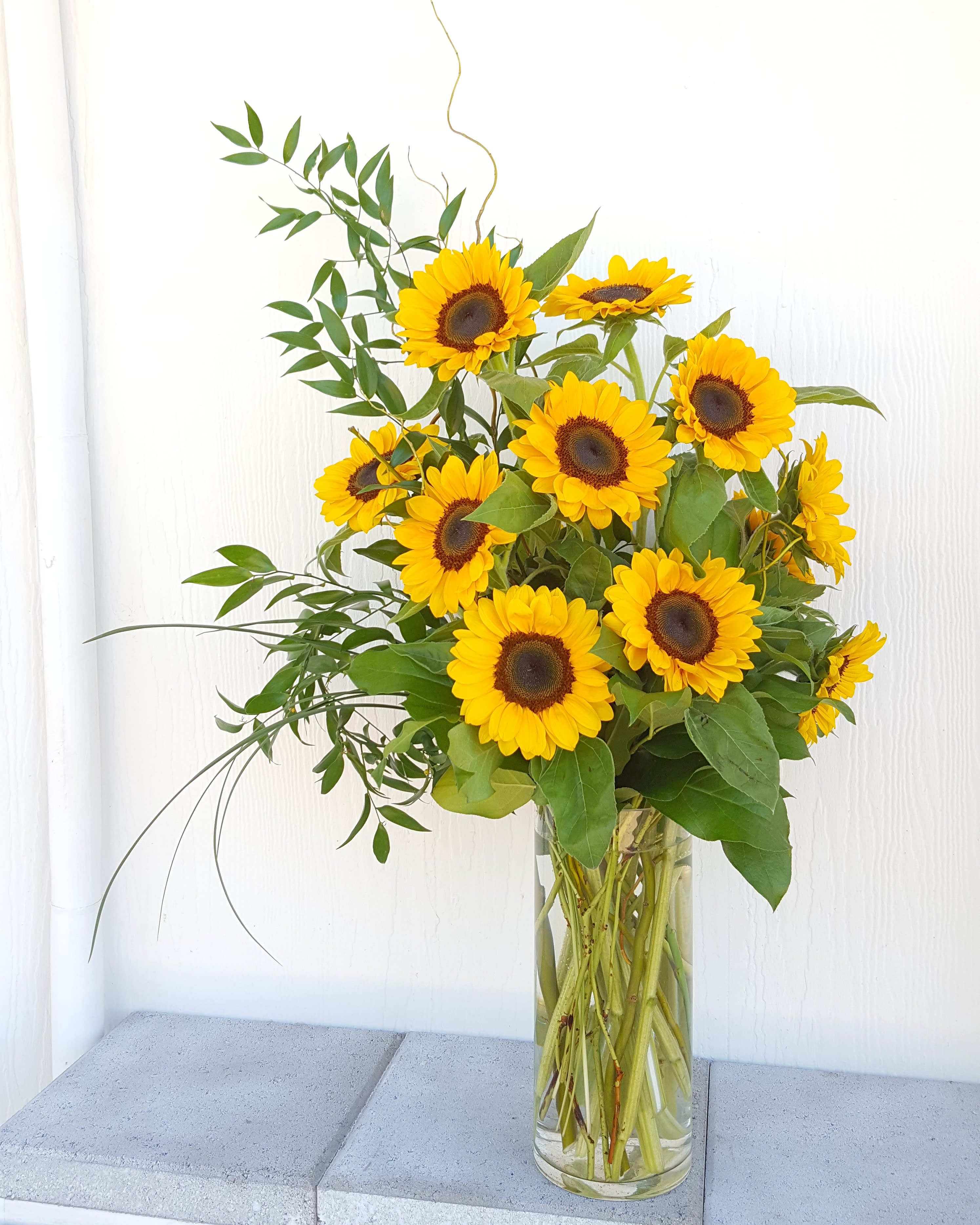 Scottsdale sunflowers Scottsdale sunflowers - Tall and magnificent sunflowers beam together. 8-Sunflowers for the standard 12- Sunflowers for Deluxe 16-Sunflowers for premium