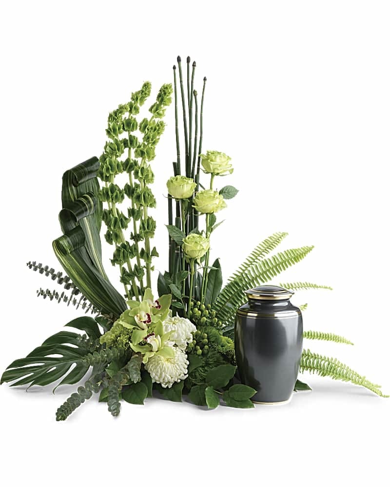 Tranquil Peace Cremation Tribute - This elegant Eastern-inspired arrangement of hydrangea and orchids surrounds the cremation urn with a natural peace and tranquility. This unique arrangement features miniature green hydrangea green cymbidium orchids green orchids green carnations green trick dianthus bells of Ireland white disbud chrysanthemums green button spray chrysanthemums green hypericum equisetum sword fern aspidistra leaves spiral eucalyptus monstera leaf and lemon leaf. Arrangement does not include urn.