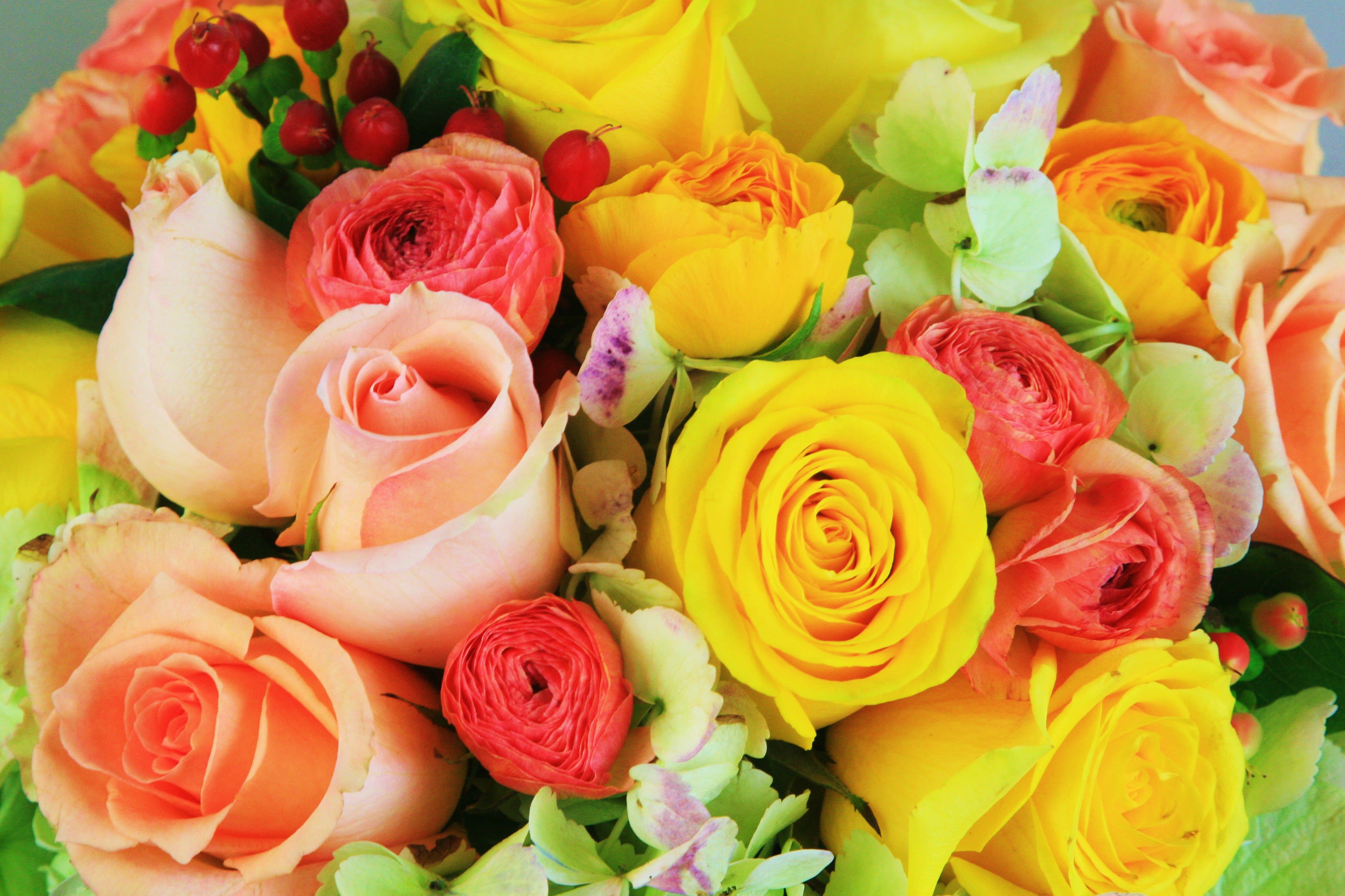 Designer's Choice - Mix Flowers in different variety and colors. (If you like Tall or Short Arrangement, any kind of Flowers or any Colors, please let us know in &quot;Special Instructions&quot;) 