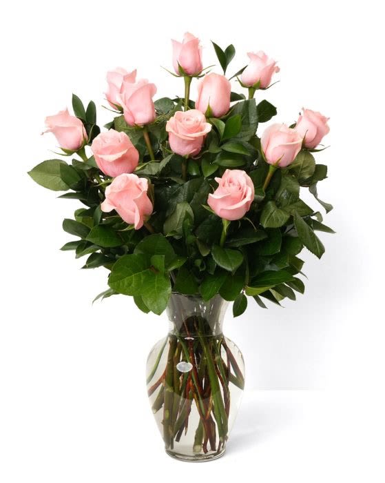 One Dozen Soft Pink Roses - Our classic dozen soft pink roses are designed with long-stem 70 cm roses, rich greens in a 11&quot; clear glass urn. RSP12