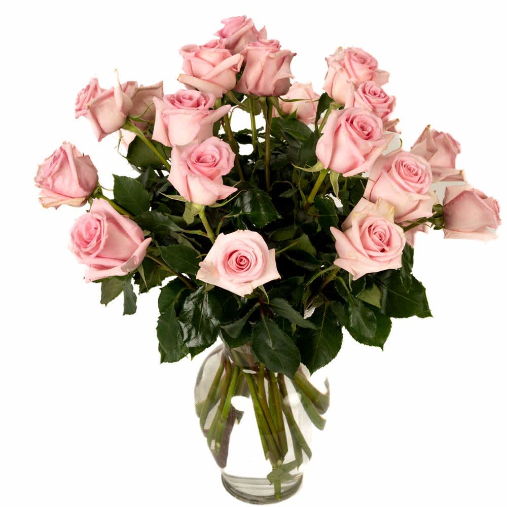 Two Dozen Soft Pink Roses - Our classic 2 dozen soft pink roses are designed with long-stem 70 cm roses, rich greens in a 11&quot; clear glass urn. 