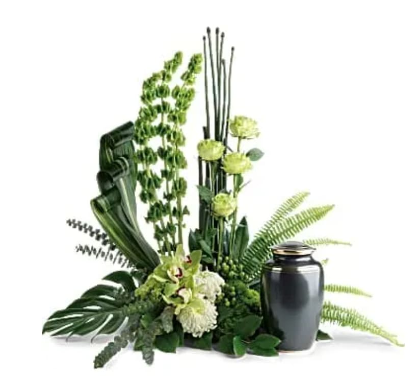 Tranquil Peace Cremation Tribute - This elegant, Eastern-inspired arrangement of hydrangea and orchids surrounds the cremation urn with a natural peace and tranquility. This unique arrangement features miniature green hydrangea, green cymbidium orchids, green orchids, green carnations, green trick dianthus, bells of Ireland, white disbud chrysanthemums, green button spray chrysanthemums, green hypericum, equisetum, sword fern, aspidistra leaves, spiral eucalyptus, monstera leaf, and lemon leaf. Arrangement does not include urn.