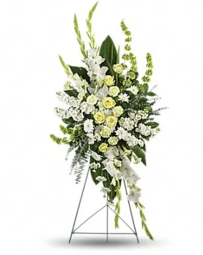 Magnificent Life Spray - A magnificent symbol of love and peace, this pure white and green spray conveys your sympathy with elegance and grace. This gorgeous array of green roses, green carnations, white gladioli, white stock, white cushion spray chrysanthemums and bells of Ireland is accented with green ti leaves, spiral eucalyptus and lemon leaf.