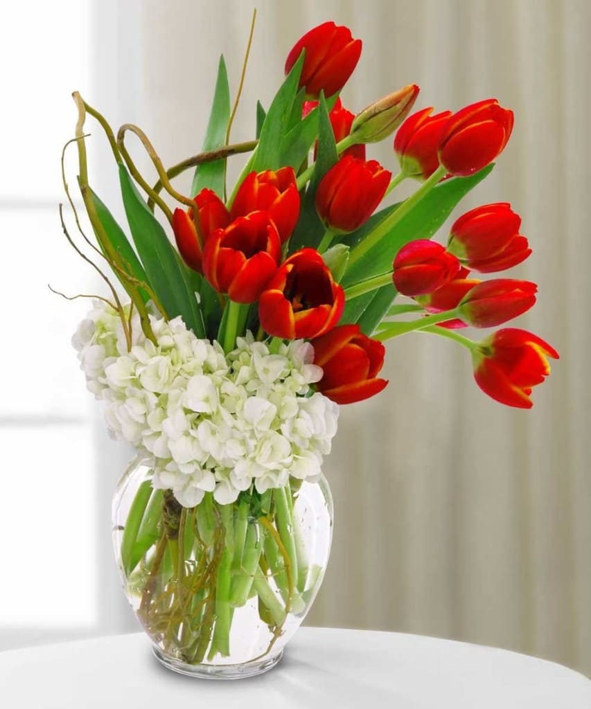 Blooming Devotion - Tulips, Hydrangeas , Together these flowers create a stunning arrangement that is both visually captivating and emotionally uplifting, perfect for any special occasion or simply to brighten someone's day. Get a Deluxe or premium to add stunning red roses  In some instances, our photo may represent an overall theme or look and include a one-of-a-kind vase which cannot be exactly replicated. Tulips colors may vary depends on availability  