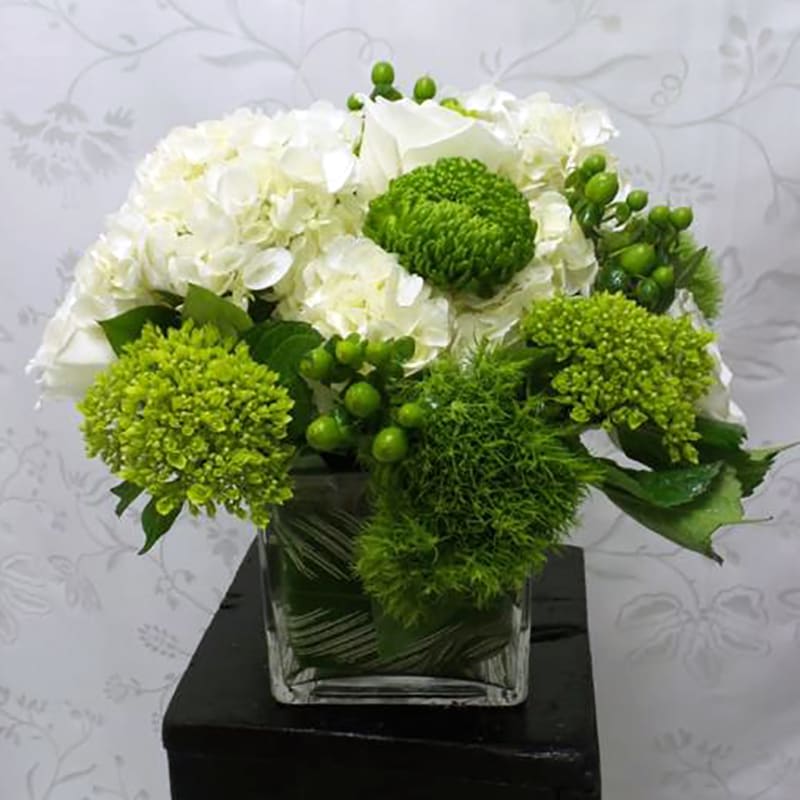 Amazon's Clouds Vased - This design is our homage to the Amazon forest's fluffy white clouds over clear skies. White hydrangeas, roses, green hydrangeas, moms, hypericum and dianthus, are arranged in a leaf-lined glass cube.  