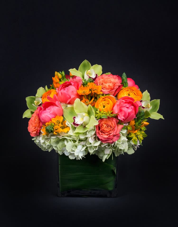 The comfort zone The comfort zone - Cheerful and warm orange and cream yellow colors flowers