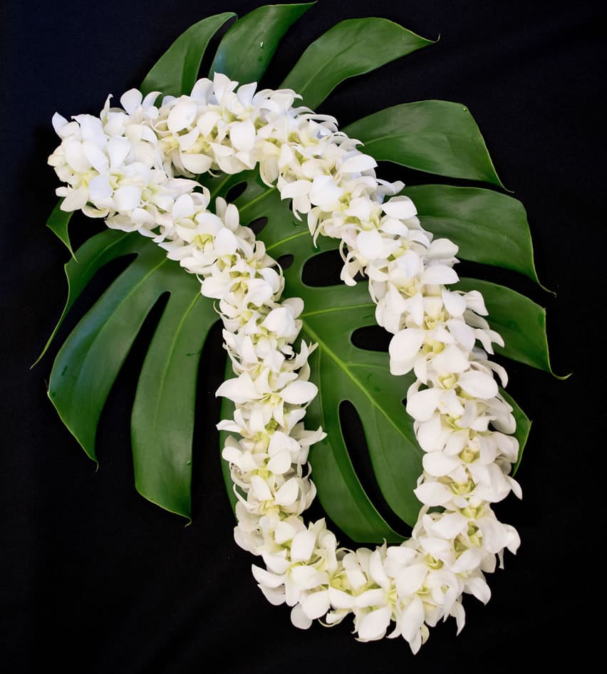 DOUBLE WHITE LEI  (Pitzer) - DOUBLE STRAND OF WHITE DENDROBIUM ORCHID