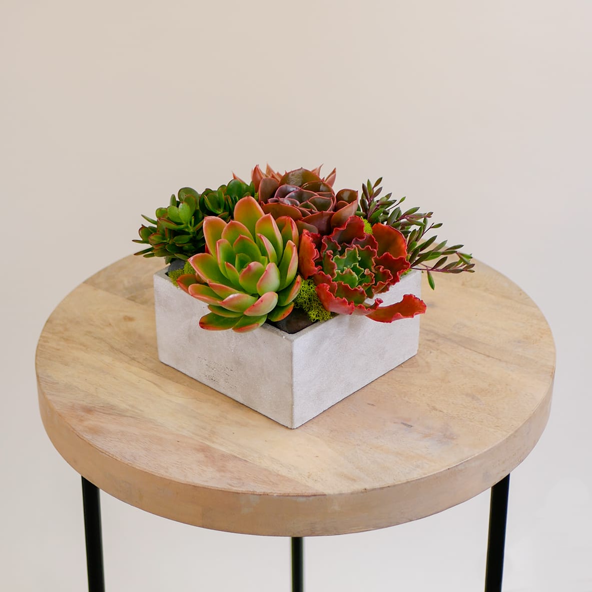 Stunning Succulents Stunning Succulents - This fresh arrangement features our best premium succulent plants in a square, light gray stone container. We offer a Standard and Deluxe size: Standard is about 7"L x 7"W x 7"H and the Deluxe is about 9"L x 9"W x8"H