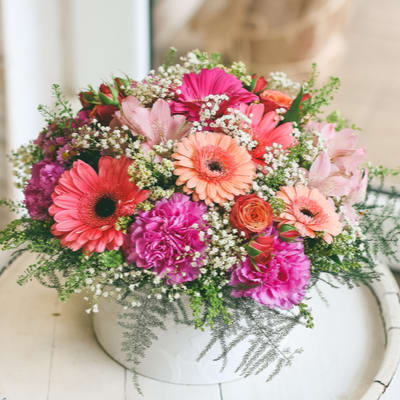 Gorgeous Gerberas (BB) - Gerberas