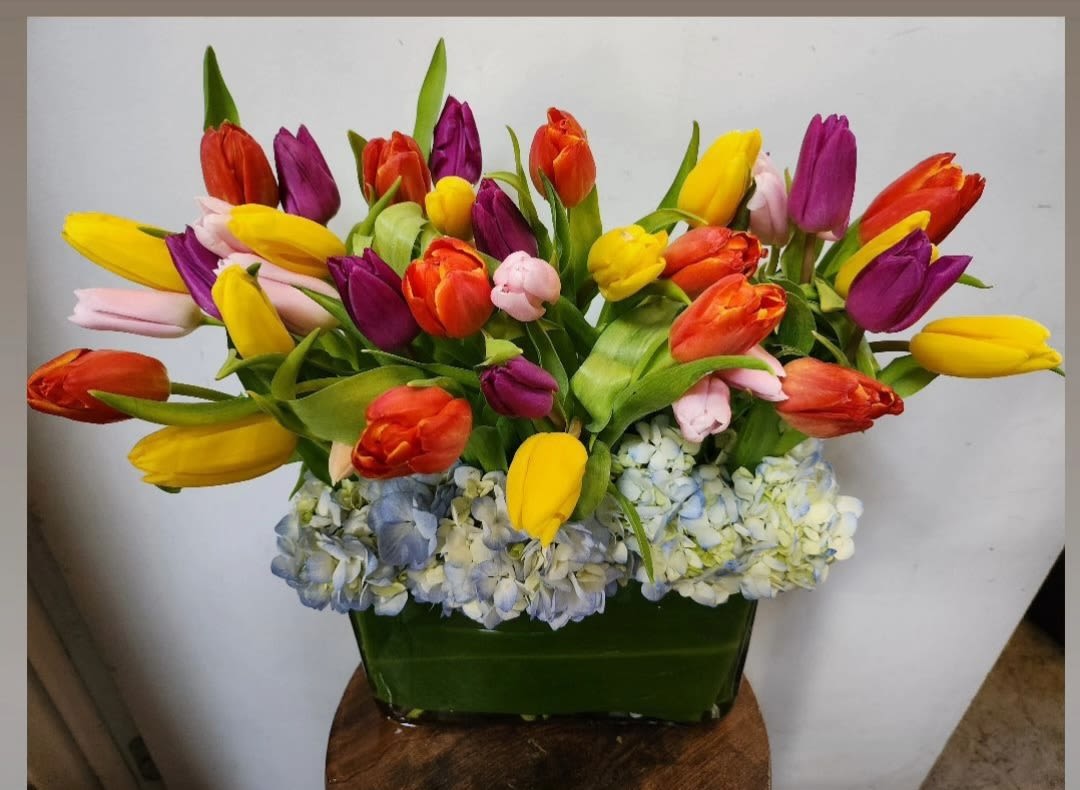 Hello spring Hello spring - Spring blooms of tulips in rectangular vase