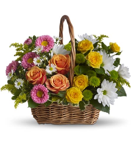 Sweet Tranquility Basket Sweet Tranquility Basket - A basket full of bright blossoms will deliver the warmth of sunshine even when the skies seem gray. This beautiful gift will be appreciated for its life-affirming brilliance and your thoughtfulness at this time. Brilliant blooms such as orange and yellow roses and spray roses mix with pink matsumoto asters white daisy spray chrysanthemums dazzling green button spray chrysanthemums salal pittosporum and more in a lovely rectangular basket with a handle.Approximately 16" W x 13 1/2" H Orientation: All-Around As Shown : T213-2ADeluxe : T213-2BPremium : T213-2C